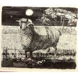 'Spanish Merino Sheep', lithograph signed,