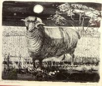 'Spanish Merino Sheep', lithograph signed,