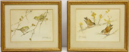 'Goldcrests' and 'Stonechats',