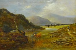 Cattle Watering in Upland Landscape,