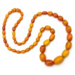 Early 20th century amber graduating bead necklace Condition Report Approx 30gm
