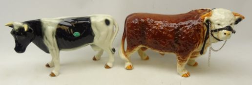 Large ceramic model of a Shetland cow and a model of a Hereford bull, probably melba ware, H25cm,