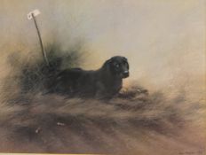 Labrador with Pheasant, limited edition colour print No.