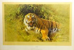 'Tiger Fire', limited edition colour print No.