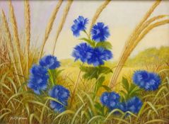 Blue Flowers in a Wheat Field,