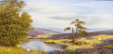 Moorland Sheep,