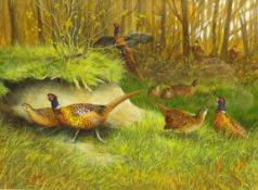 Pheasants in a Woodland,