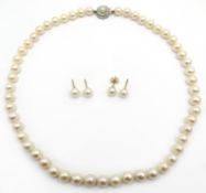 Single strand pearl necklace,