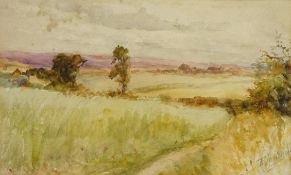 Moorland Landscape, watercolour signed by Robert Jobling (Staithes Group 1841-1923) 14cm x 22.