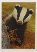 Badger, ltd.ed colour print No.