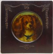 King Charles Spaniel, 19th/early 20th century circular oleograph in period frame 36.5cm x 36.