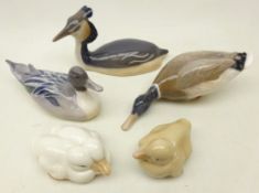 Four Royal Copenhagen birds; Great crested grebe 3263, Duck 1933, Mallard 1934,