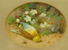 William Cruikshank (British 1849-1922): Still life - Fallen Bird with Nest,