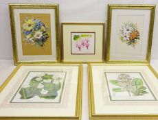 Collection of Flower Studies - pair mixed media on paper, indistinctly signed,