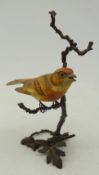 Albany Worcester porcelain Wren on bronze branch,