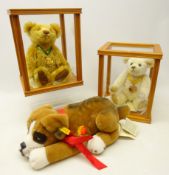 Steiff Millennium bear in pine display case, with certificate,