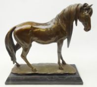 Large patinated hollow bronze model of a horse on rectangular marble base,
