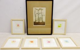 Still Life of Flowers, six contemporary watercolours unsigned 5cm x 5cm in matching frames,