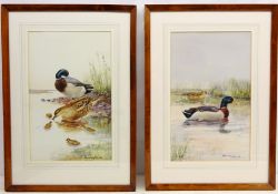 Ducks and Chicks, two 20th century watercolours signed and dated '20 by Walter Till,