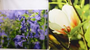 Still Life of Flowers, three contemporary canvas prints,
