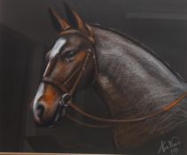 Portrait of a Horse,