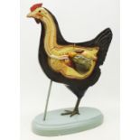 Early to mid 20th century German anatomical model of a Chicken,