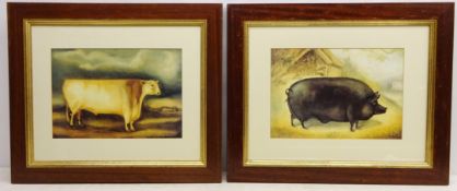 Prize Bull and Prize Sow, two 20th century colour prints in oak frames overall 54cm x 66.