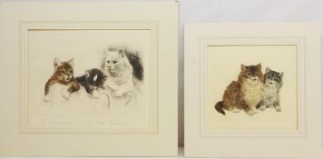 Portraits of Cats and Kittens,