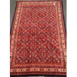 Araak blue ground rug, repeating field and border,