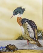 'Red Breasted Merganser', 20th century watercolour signed titled and dated '83 by R.