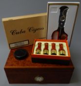 Burr walnut effect Humidor with Hygrometer dial,