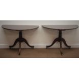 Pair mahogany D shaped pedestal side tables, turned column, three sabre supports,