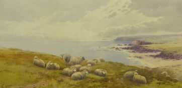 Tom Rowden (British 1842-1926): Sheep on the Cliff-Top, watercolour signed and dated '99,