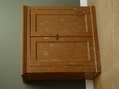 19th century painted pine cupboard two panelled doors enclosing three shelves, platform base,
