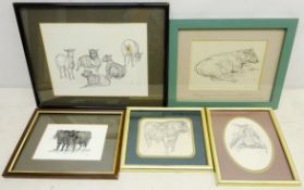 Bulls in the Field and Study of a Sheep, two contemporary watercolours signed with monogram,