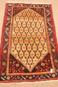 Persian geometric pattern rug, repeating border,