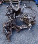 Three pieces various weathered tree stump, Condition Report <a href='//www.