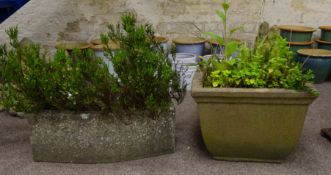 Rectangular planter with curved front with shrub and a square composite stone planter with shrub