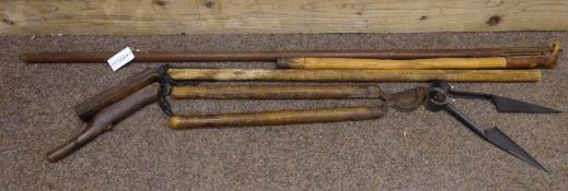 Vintage Agricultural Tools - a bull leading pole, a grain flail, a pair of tail dockers,