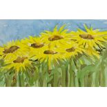 Sunflowers, watercolour unsigned 29cm 46cm Condition Report <a href='//www.