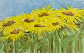 Sunflowers, watercolour unsigned 29cm 46cm Condition Report <a href='//www.