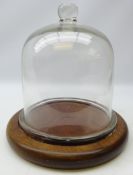 Early 20th century clear glass cheese dome on circular mahogany base,