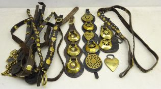 19th century and later horse brasses hung on leather martingales and leather straps including a