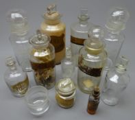 Eleven Victorian and later apothecary's clear glass bottles with stoppers, various sizes,