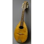 Italian lute back mandolin, with segmented rosewood back,