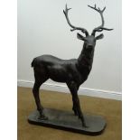 Life size cast iron garden stag on plinth, W103cm,