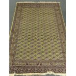 Bokhara green ground carpet, geometric patterned field, repeating border,