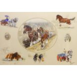 Studies of Shire Horses,