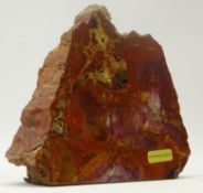 Polished petrified wood section, H19cm x W21cm Condition Report <a href='//www.