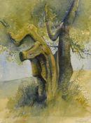 Tree Study, watercolour signed and dated '85 by Fred Williams (British 1930-1986) 39.